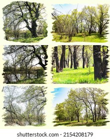 Texture Background. SPRING, FLOWERS.Spring flowering of fruit trees. Bright sunny day, blue sky and spring greenery. Use as a template