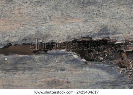The texture or background of the surface of a wood section that has been affected by age