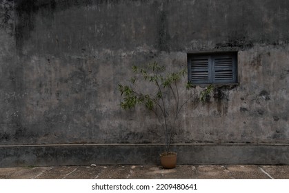 texture background wall with window