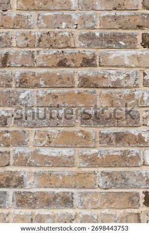 Texture of baked earth-colored bricks on a wall