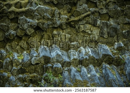 Similar – Image, Stock Photo Basalt columns with moss cushion