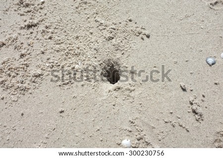 Texture of beach sand