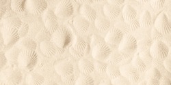 Texture of beach sand with seashells imprint. Beach sand texture in summer sun. Seashells on sand beach, a Nature Photo by All for you friend