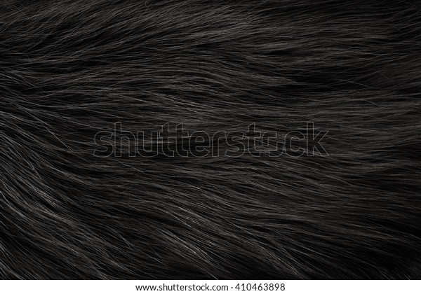 Texture Black Fox Fur High Pile Stock Photo 410463898 | Shutterstock