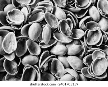 Texture black and white shell