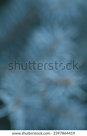 Similar – Image, Stock Photo A little flower. Nature