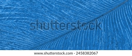 Texture of blue tropical bird feather, background macro. Structure of sapphire fluffy plumage. Abstract natural backdrop, closeup.