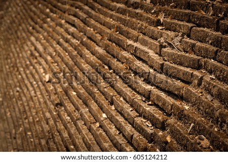 Similar – Image, Stock Photo #A# Roof growth Esthetic