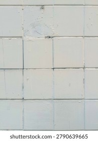 The texture of the brick wall is rather soft but not rough and is white.