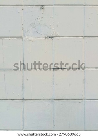 The texture of the brick wall is rather soft but not rough and is white.