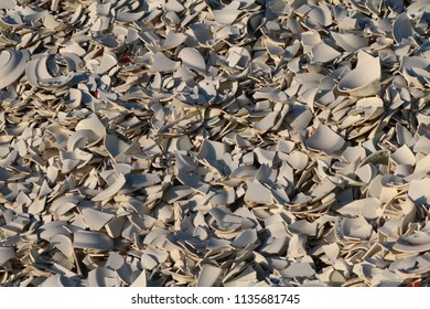 Texture: broken dishes
