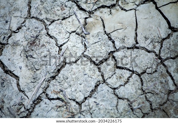 texture of broken ground earth desert cracks\
background fractals