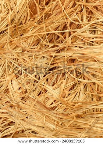 the texture of brown rice plant straw.  Abstract background of wet rice straw grass