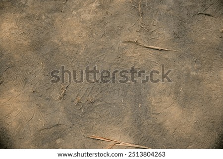 The texture of the brown sandy soil, there is a little dry leaf litter