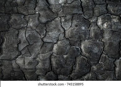 2,183,725 Wood Close Up Images, Stock Photos & Vectors | Shutterstock