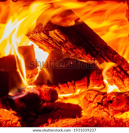 Similar – Image, Stock Photo Burning wood Adventure