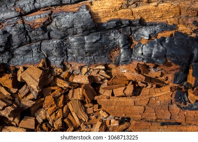 Texture Of Burnt Wood Chips 