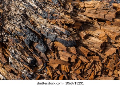 Texture Of Burnt Wood Chips 