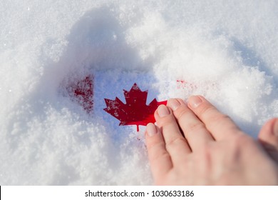 Texture Of The Canadian Flag In The Snow, The Hand Clears It From The Snow.