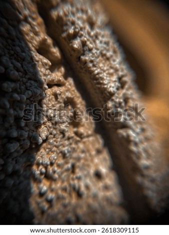 Texture of cement brown macro