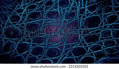 Texture of colored alligator skin. Background of natural crocodile leather.