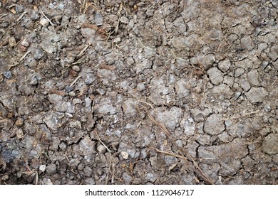 The Texture Of Crack The Ground. The Structure Of The Soil Close-up.Many Small Rubble