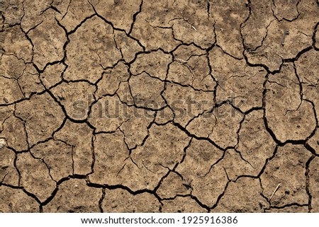 Texture of cracked dried soil. Dry ground with cracks. Brown rough surface of the soil during summer drought. Perfect for background and design. Ecology, climate change and global warming on Earth.