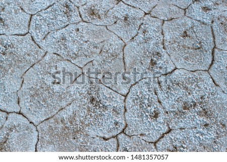 The texture of the cracked ground on the bottom of the dried salt lake.