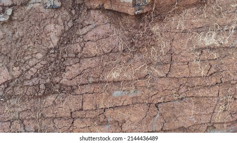 Texture Of Cracks In Soil Sediment On The Side Of A Hill Left Over From Dredging In The Cikancung Area, Indonesia