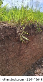 Texture Of Cracks In Soil Sediment On The Side Of A Hill Left Over From Dredging In The Cikancung Area, Indonesia