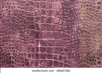 texture of crocodile skin