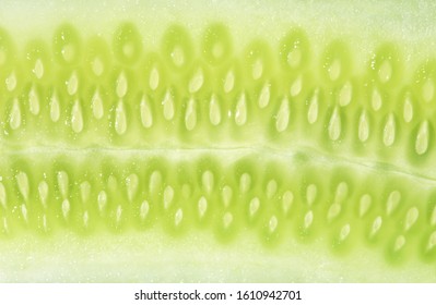 Texture of cucumber sliced in lengthways saw the juicy flesh and seeds, suitable for texture and background.