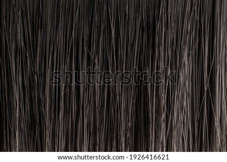 Texture of dark bristle brush close up as background
