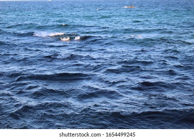 Texture of deep blue ocean waves