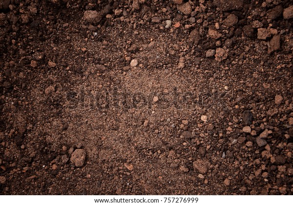 texture of dirt\
land