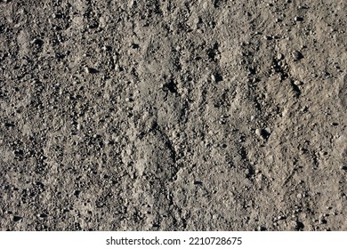 Texture Of Dirt Road With Sunlight Shining On The Side