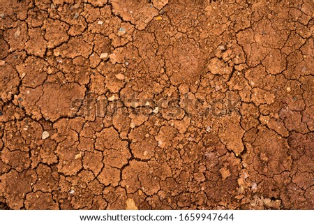 Texture of dried cracked clay. Macro background image of dried clay