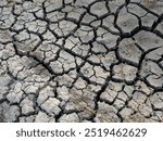 texture of the dried earth with clay and sand close up or brown dry soil or cracked ground texture background. Dried Up Rice Paddy. Dry and cracked earth with herbs.