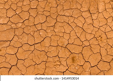 Texture of dry and dehydrated ground surface with cracks there are two dog tracks