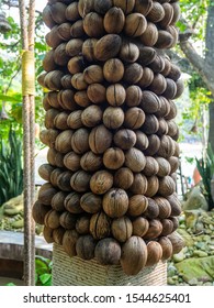 The texture of the dry shell of a decorative fruit hanging on threads. Thailand