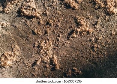 Sawdust Floor Images Stock Photos Vectors Shutterstock