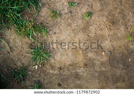texture of the earth with grass, cobblestones, stones.