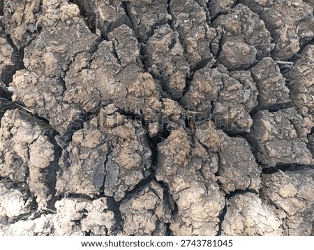 Texture of excavated riverbed mud with deep fissures.