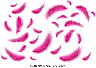 Texture Of Falling Pink Feathers On A White Backgroun. Isolated 