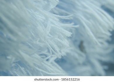 The Texture Of Feather Duster In Macro Close Up View.