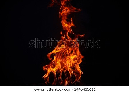 Texture of fire on a black background. Abstract fire flame background, large burning fire.