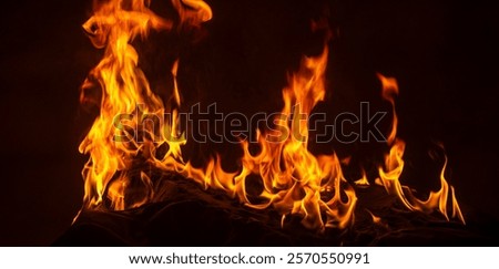 Texture of fire on black background. Abstract fire flame background. Large burning fire. Blaze fire flame texture background