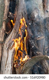 texture flame from burning logs at night