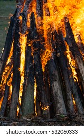 texture flame from burning logs at night