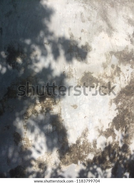 Texture\
floor shadows of tree looks same texture of\
moon